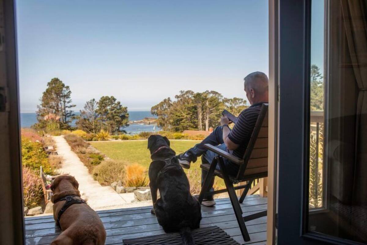 Un hombre sentado en una silla de terraza con dos perros, contemplando un jardín y el océano.