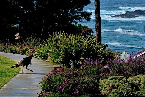 Cottages at Little River Cove