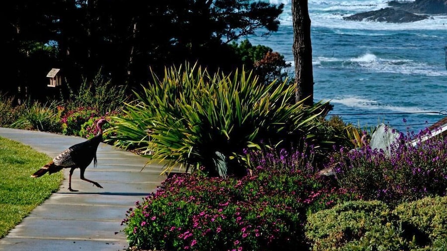 Cottages at Little River Cove