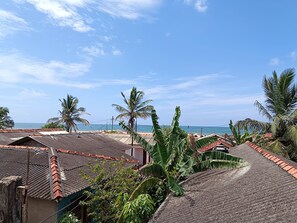 Zona residencial costera con casas, palmeras y vista al mar.