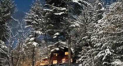 Cozy Lakeside Log Cabin with fireplaces / Central AC on Manitowish Waters Chain.