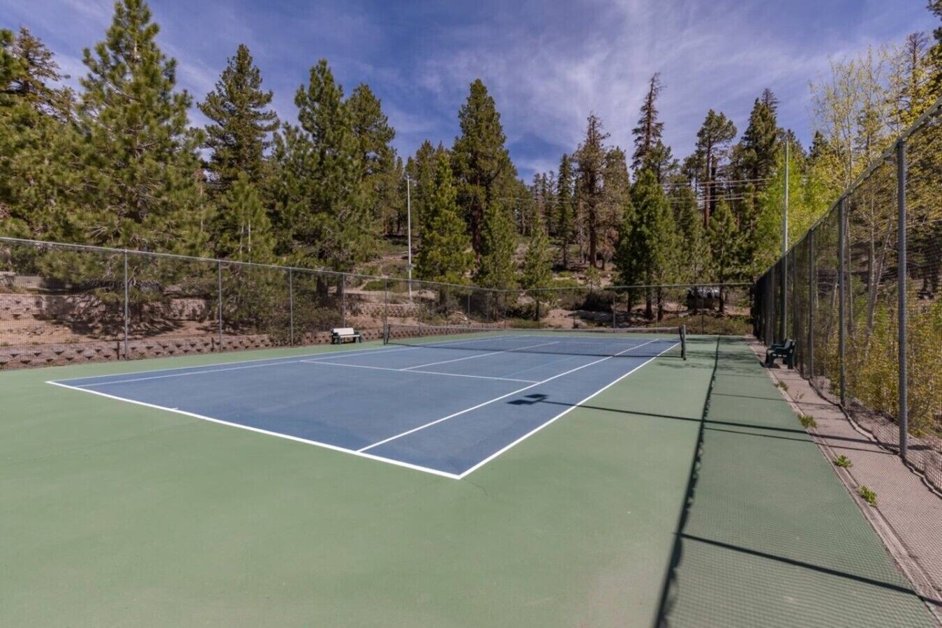 An outdoor tennis court surrounded by trees, with a bench and a fence.