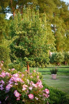Property grounds - Ter Polders (Damme)