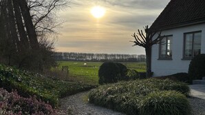 Una casa con camino de grava, césped y un campo al fondo.
