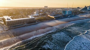On the beach, sun-loungers - Amazing Ocean Front Property on Daytona Beach with amazing views & full kitchen (Daytona Beach)