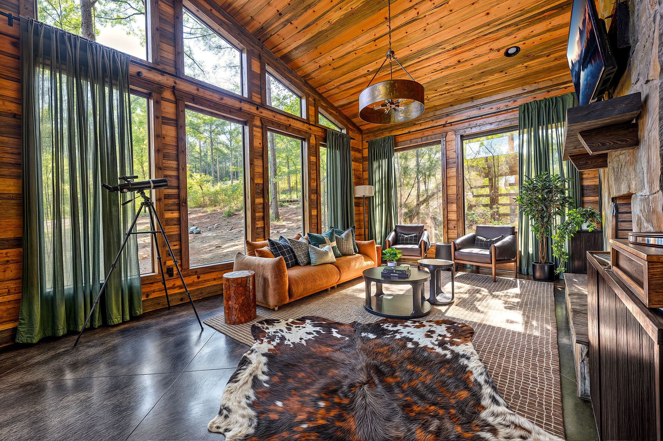 TV connectée, cheminée, livres, chaîne hi-fi