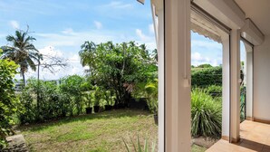 Vista desde un patio cubierto con césped, plantas en macetas variadas y una palmera.
