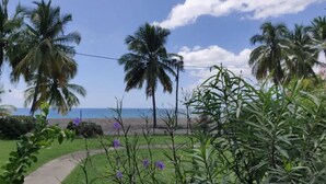 Un jardín con palmeras, un camino y vistas al océano.