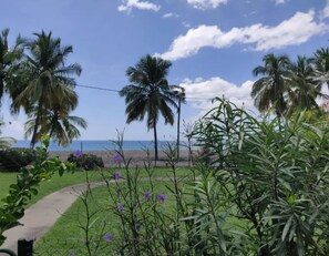 Guests can enjoy a serene ocean view from this tropical location, with easy access to the beach via a pathway.