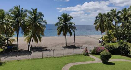 Aloé Apartment - Garden and direct beach access