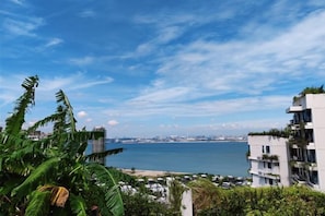 Vista desde la propiedad