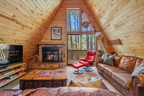 Smart TV, fireplace, books