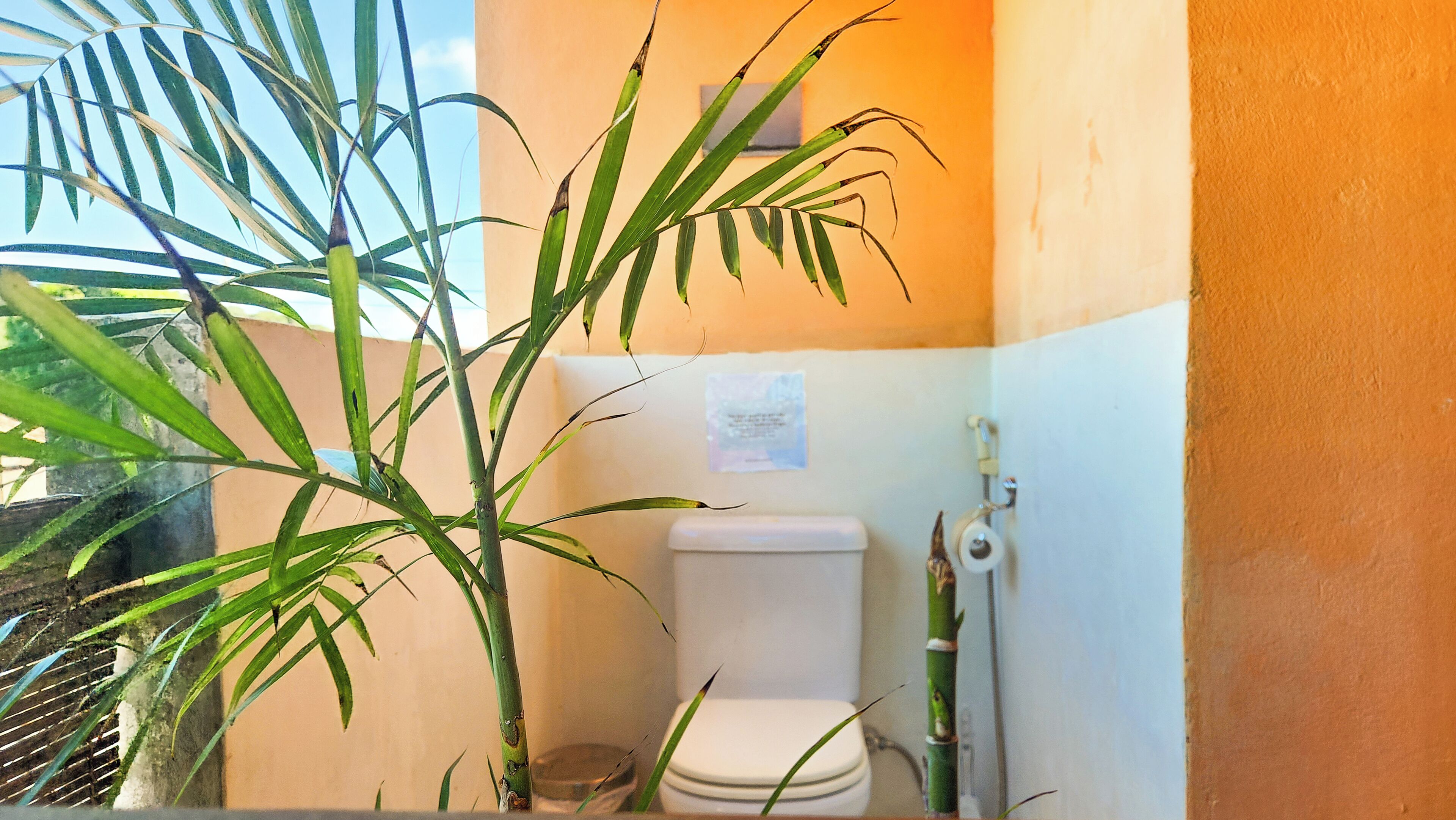 A bathroom with a toilet, a bamboo plant, and a wall-mounted toilet paper holder.