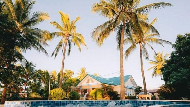 Une piscine entourée de palmiers et une maison avec un toit bleu.