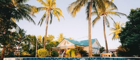A swimming pool with clear water, surrounded by palm trees and a house with a blue roof.
