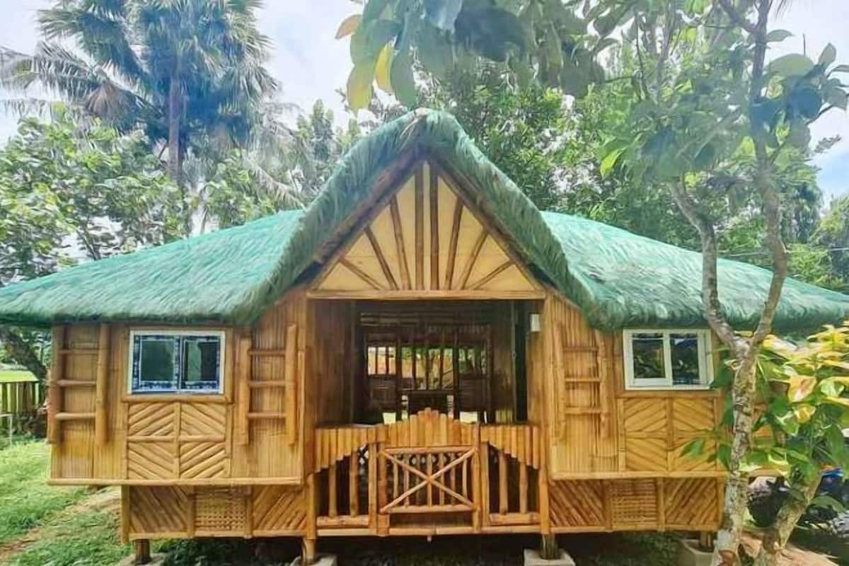 A wooden house with a thatched roof, surrounded by lush greenery.
