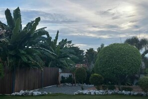 Property amenity - 1949 Dreamy Home (Panglao Municipality)