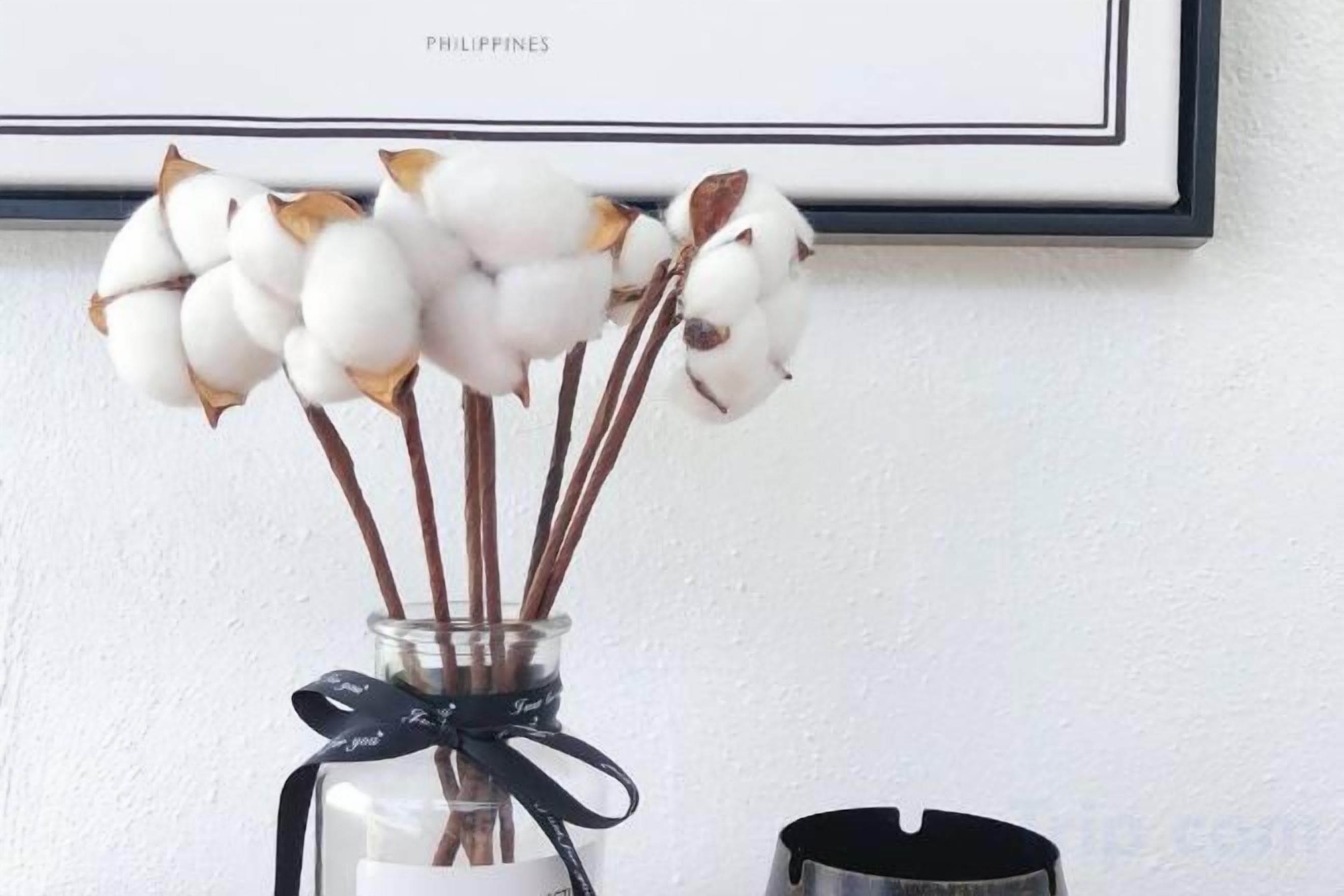 A glass vase with cotton stems and a black ribbon, placed on a white surface with a framed picture in the background.