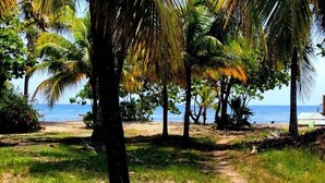 A beach path with palm trees and a view of the ocean. - Calabash Reef House, 2 Bedrooms- Steps To The Ocean (Jose Santos Guardiola)