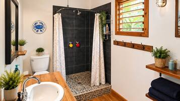 Hair dryer, towels, shampoo, toilet paper