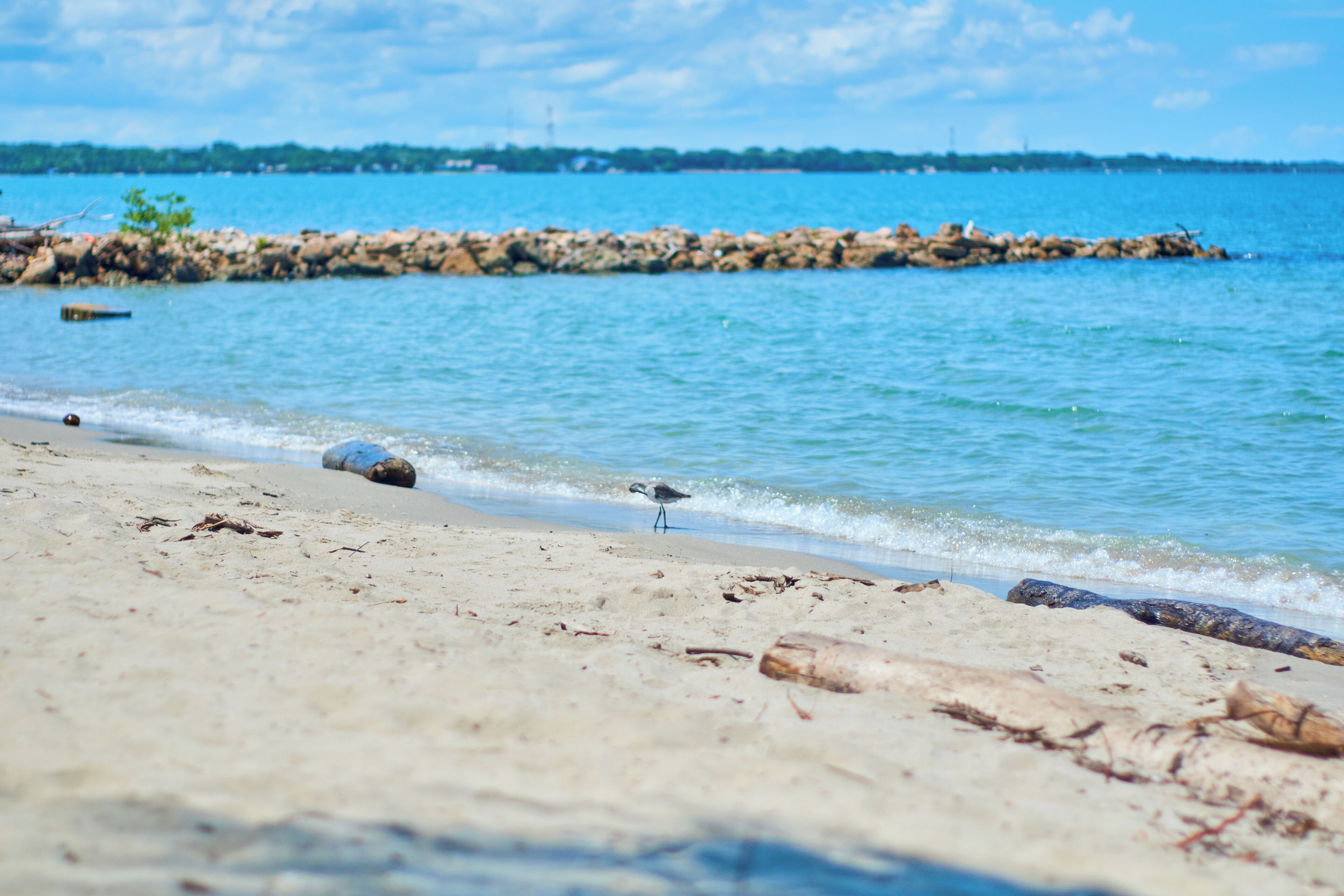 Una spiaggia con acqua cristallina, un molo roccioso e un uccello sulla sabbia.