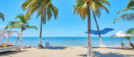 A beach with palm trees, beach chairs, and umbrellas.