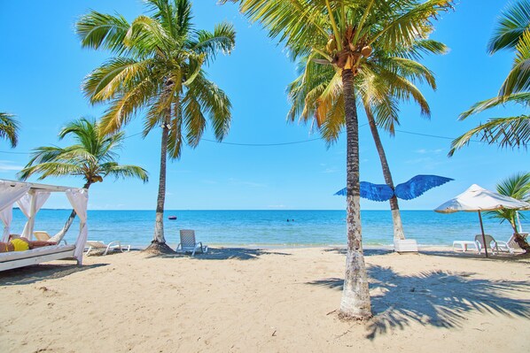 Una playa con palmeras, sillas de playa y sombrillas.