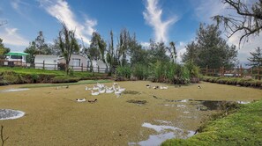 Exterior - Rancho Las santas (Guasca)