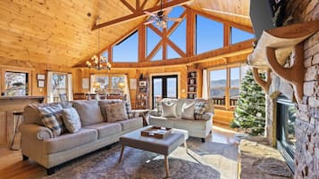 Fireplace, DVD player