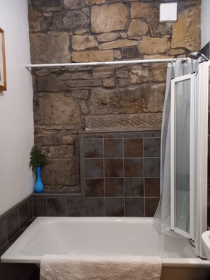 Hair dryer, bidet, towels, soap