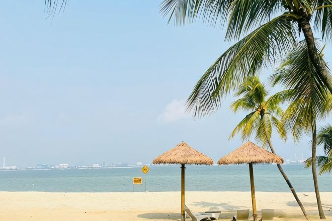 A beach with two thatched umbrellas, palm trees, and a clear view of the sea.