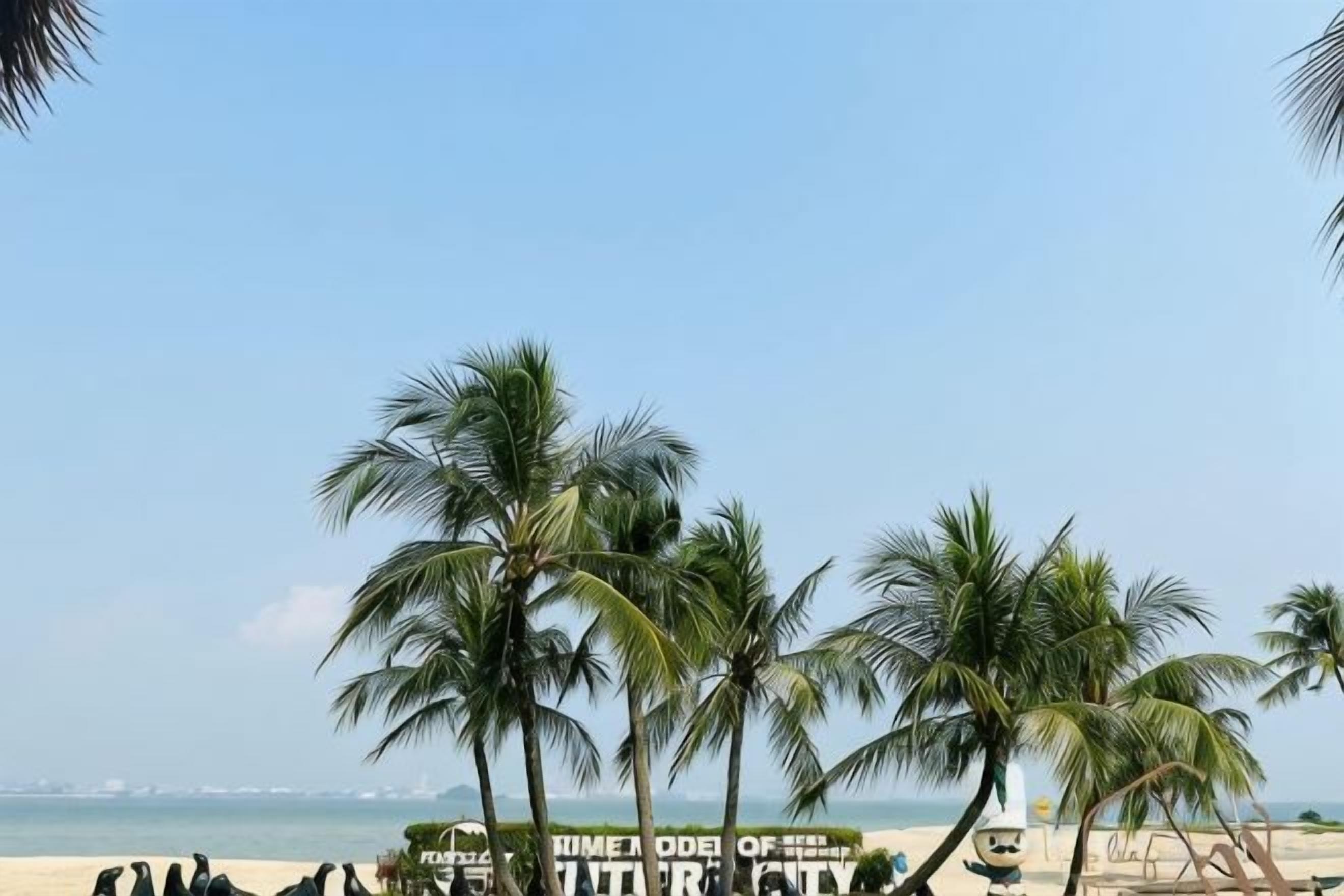 Una playa con palmeras y un letrero que dice 'LIME ODE OF THE YEAR'.