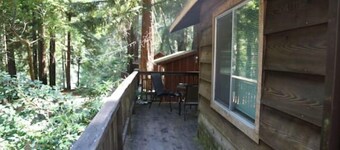 "Riverstone" Cabin River Access In Redwoods WiFi