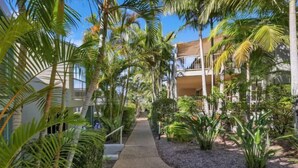 A pathway flanked by palm trees leading to a building with balconies. - Lennox Beach Resort (Lennox Head)