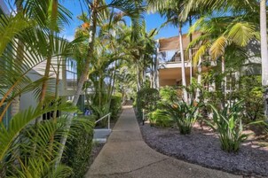 Un camino bordeado por palmeras que conduce a un edificio con balcones.