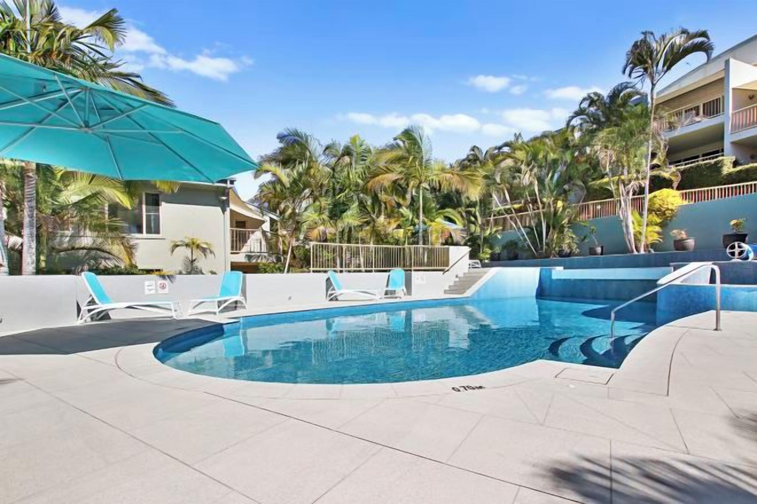 Una piscina con sillones de descanso y una palmera al fondo.