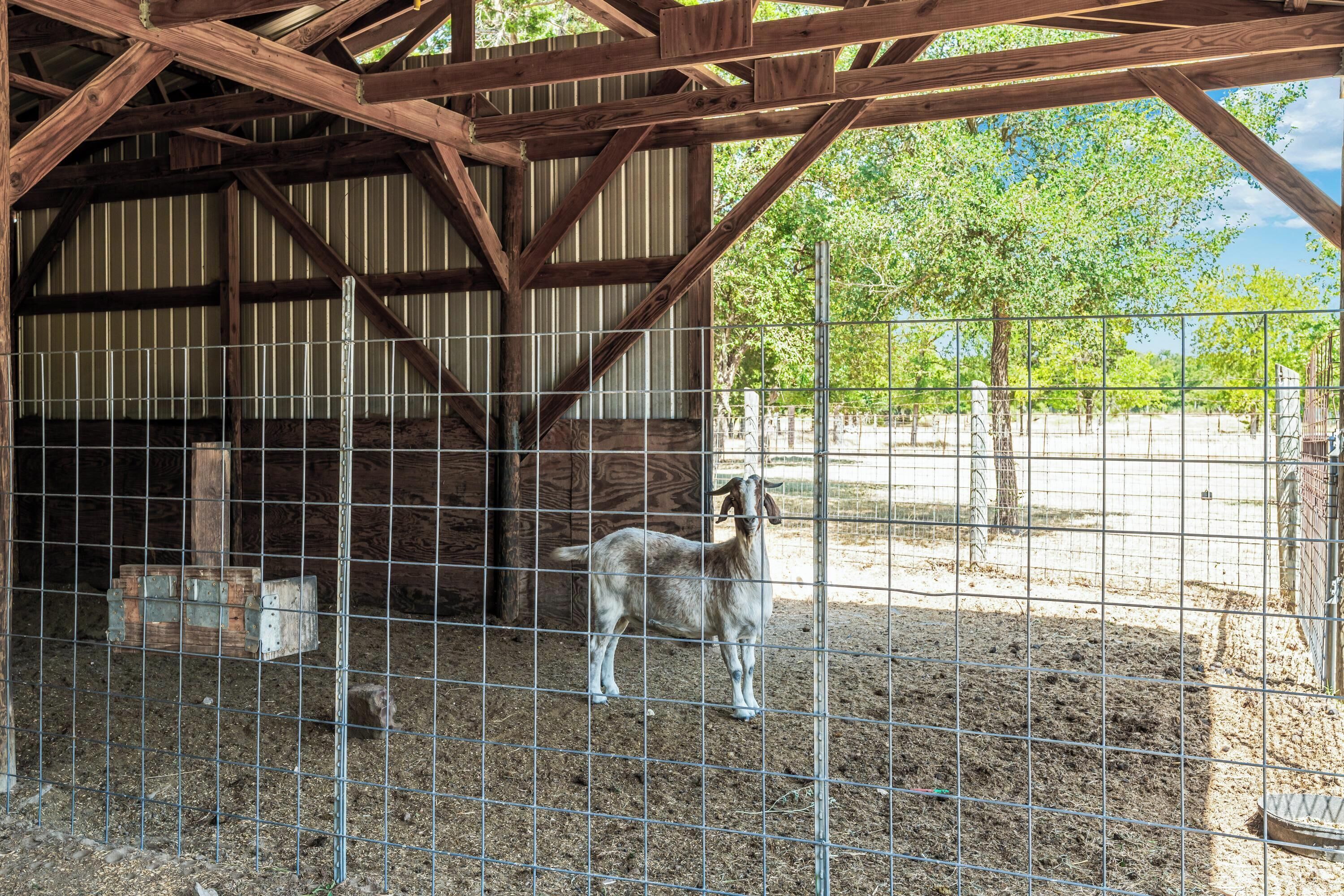 Servicio de la propiedad