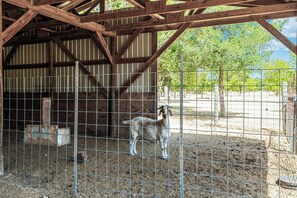 Property amenity - Hot Tub Pool Firepit Gameroom Guesthouse (Manor)