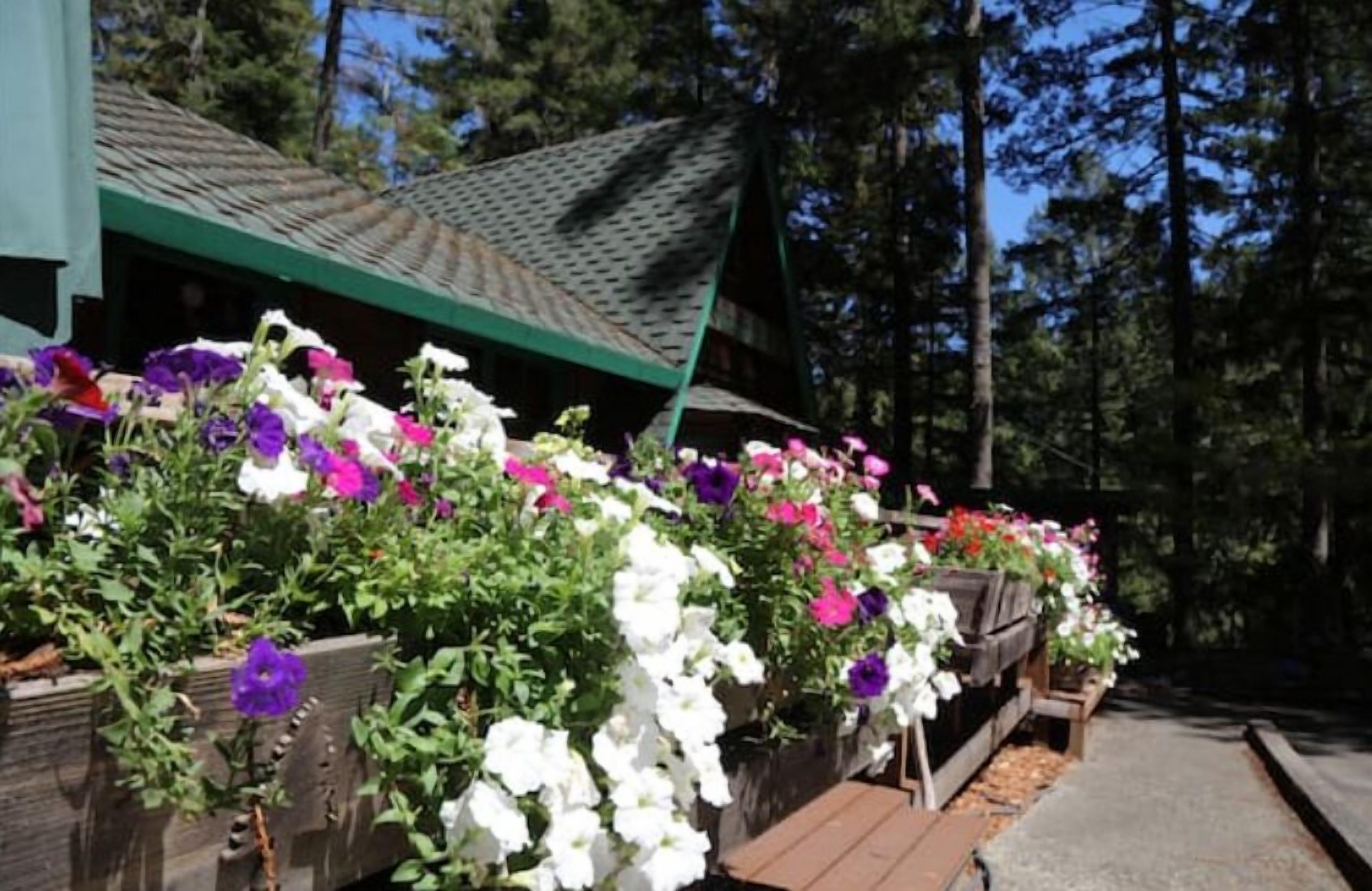 A wooden deck with flower boxes containing white, purple, and pink flowers.