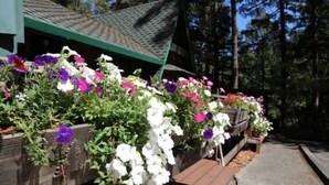 A wooden deck with flower boxes containing white, purple, and pink flowers. - "The Lodge" River Access 2 Kitchens Dines 18 ppl

 (Garberville)