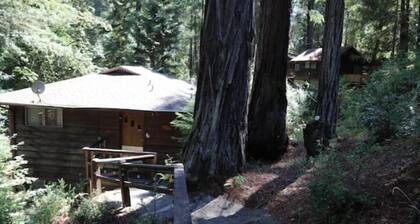 "Blue Heron" Suite River Access In Redwoods WiFi