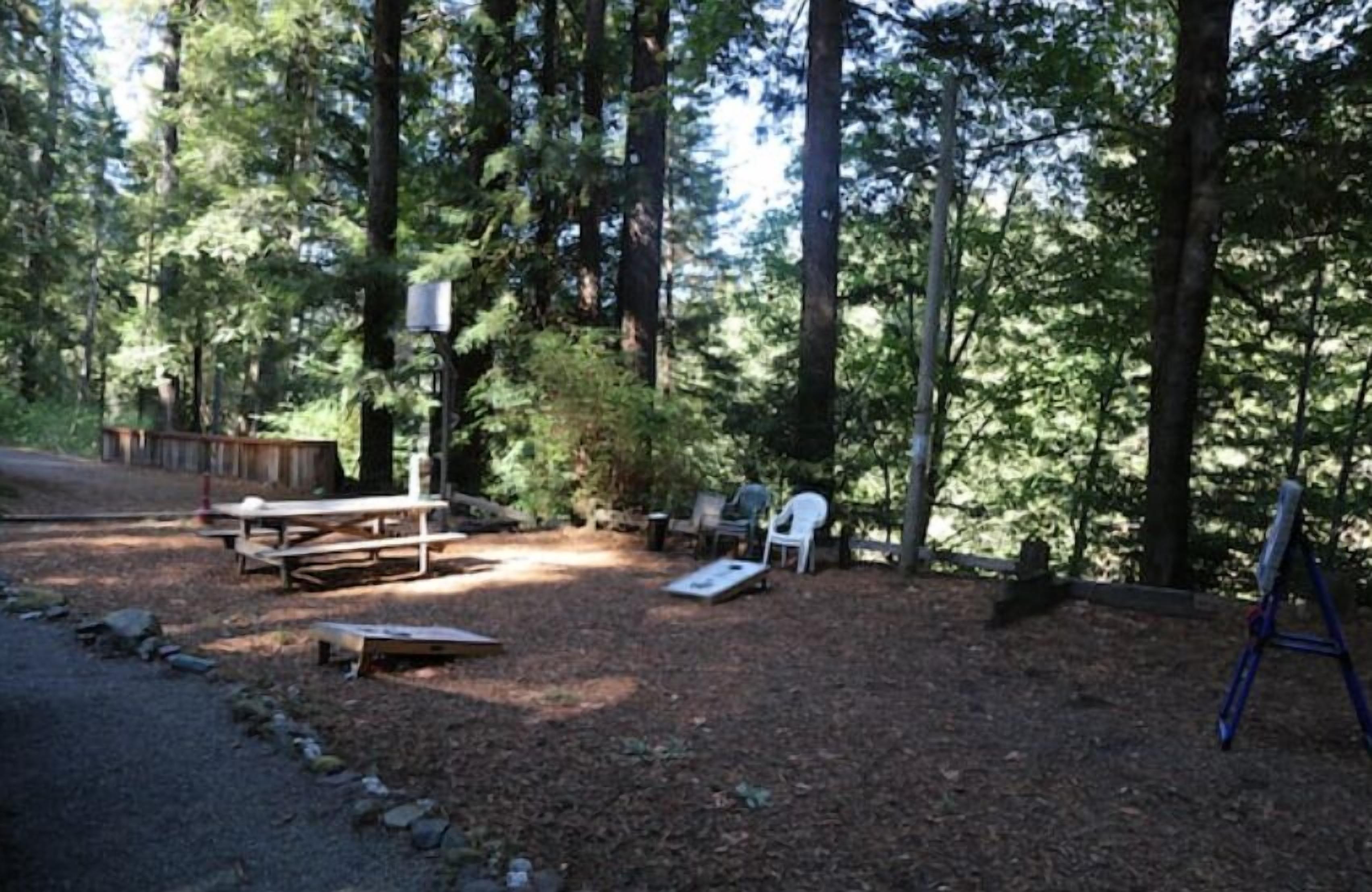 A forested campsite with picnic tables, chairs, and a blue chairlift.