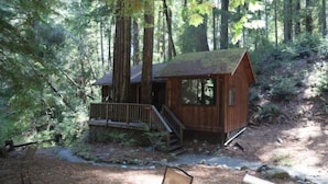 Eine Holzhütte mit Veranda und Treppe, umgeben von dichtem Wald.