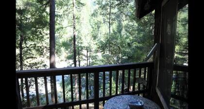 "Twin Trees" Cabin River Access In Redwoods WiFi