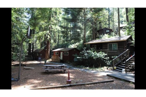 "Madrone" Cabin In the Redwoods, River Access, WiFi 

