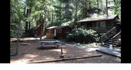 "Madrone" Cabin In the Redwoods, River Access, WiFi