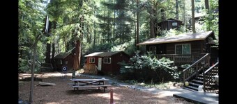 "Madrone" Cabin In the Redwoods, River Access, WiFi