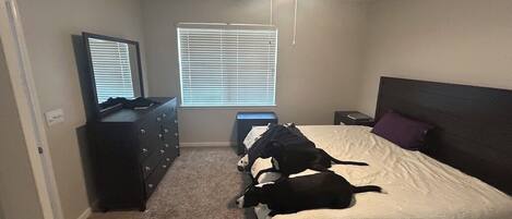 3 室のベッドルーム、アイロン / アイロン台、WiFi、ベッドシーツ