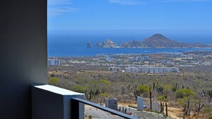 A coastal cityscape with buildings, cacti, and a mountain in the distance. - A privileged place in Los Cabos (Cabo San Lucas)