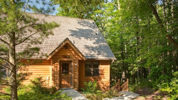 A log cabin with a wooden door and windows, surrounded by dense forest.